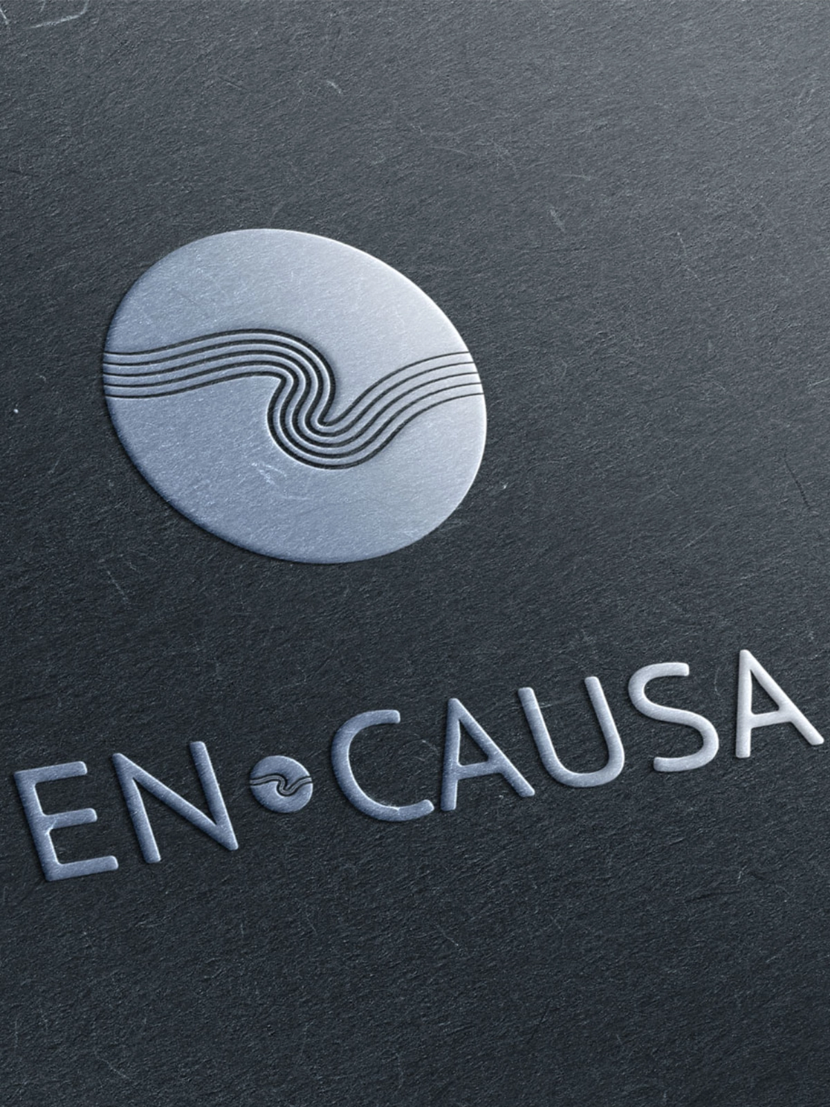 Planning sessions for the project: brand image, audience segmentation, and the full visual and marketing work.